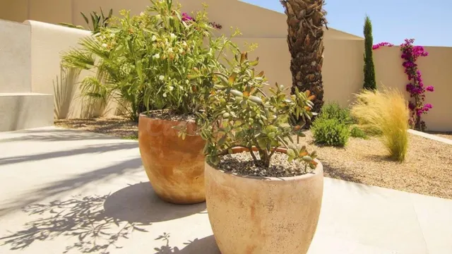 Villa 4 habitaciones 350m² en venta - La marina — 11