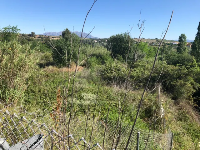 GRAN PARCELA EN VENTA EN GELIDA -10689 M2- — 8