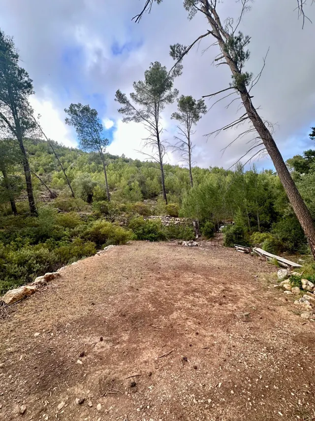 Terreno Rústico de 12.240 m2 en S’Arracó (Andratx) | Vistas al Mar, Cueva Natural y Pago Aplazado — 11