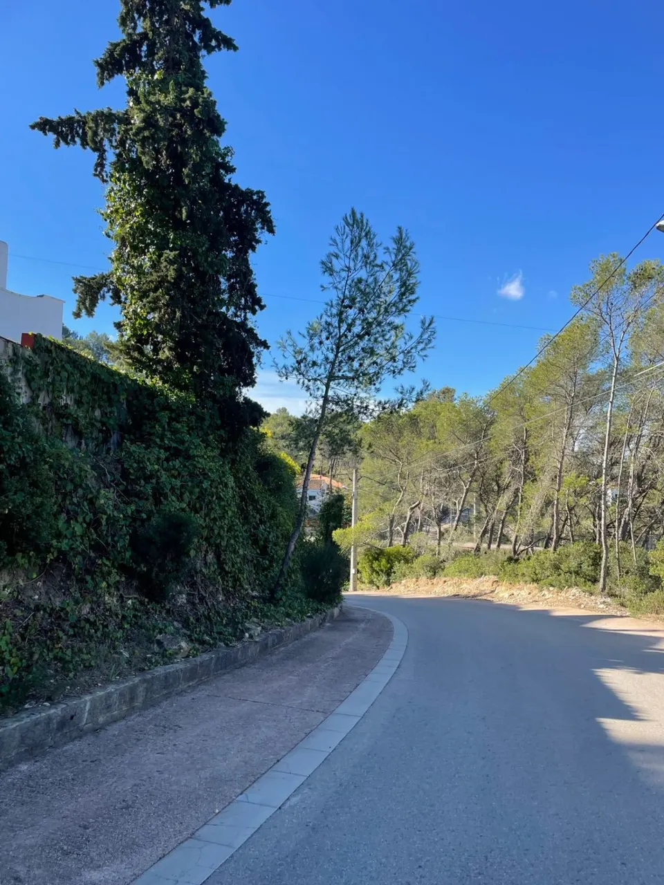 Olivella Mas Mestre parcela de 1200 m2