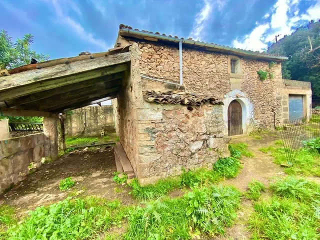 Finca rústica con caseta y 6000m2 para tus proyectos de campo — 8