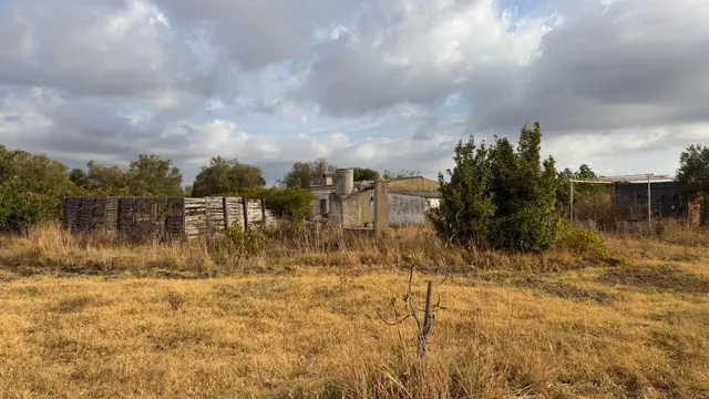 ¡Ocasión en Trigueros! Finca rústica totalmente legalizada con excelente acceso y gran tranquilidad — 44
