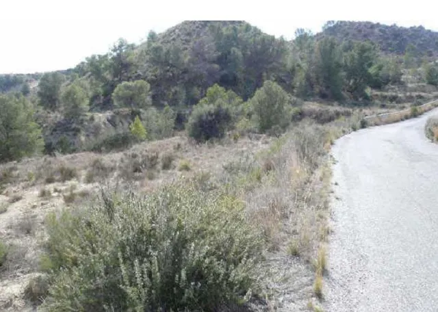 Suelo no urbanizable en venta en pre. los zarates poligono 4