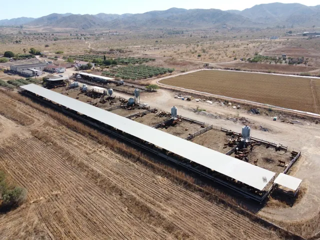 Gran explotación ganadera en lorca: capacidad para 760 cabezas y finca agrícola en producción — 17