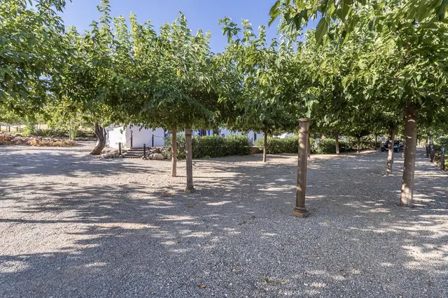 **NEGOCIO CONSOLIDADO DE EVENTOS Y ALOJAMIENTO TURÍSTICO EN UNA ESPECTACULAR FINCA ANDALUZA CERCA DE GRANADA** — 43