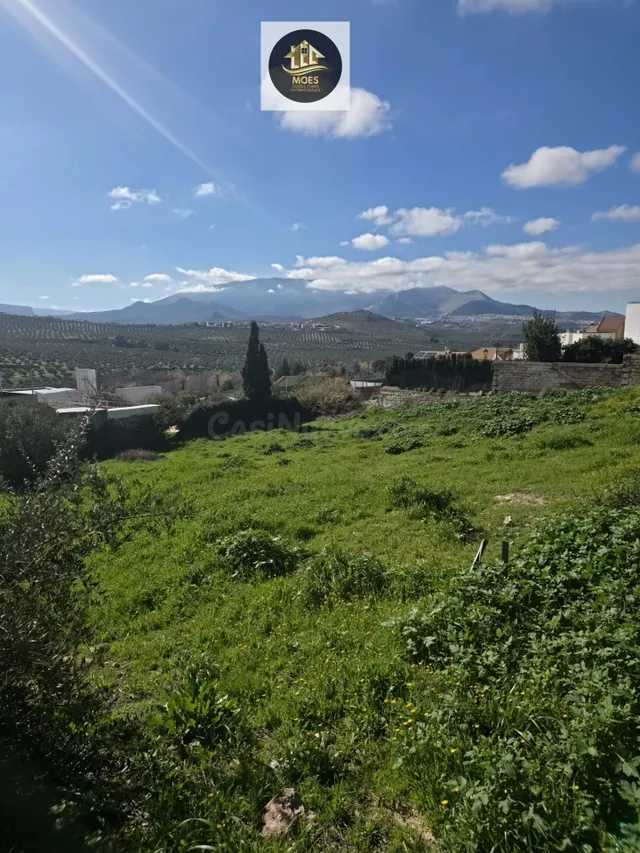 SOLAR EN PUENTE NUEVO - foto 4