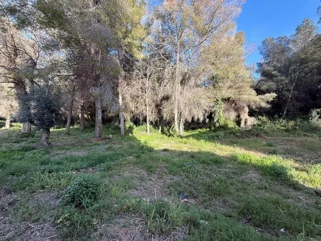 Apartamento a 700 m de la playa con piscina comunitaria - TORREDEMBARRA- — 26