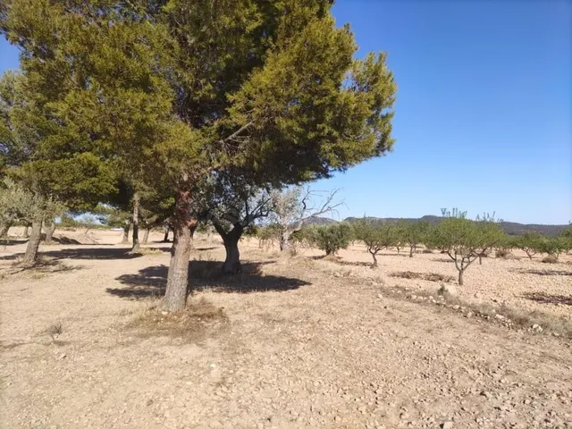 Parcela en venta - Comunidad valenciana - foto 5