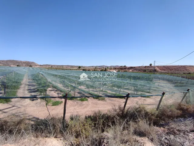 SE VENDE FINCA RÚSTICA EN PRODUCCIÓN UVA ECOLÓGICA CON CASA DE APEROS EN MONFORTE DEL CID. — 6