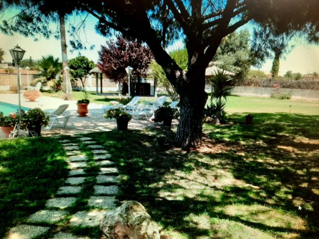Casa chalet rustica en la zona de Cartuja a 5 mn de jerez — 25