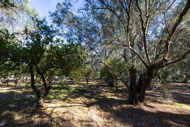 FINCA RUSTICA EN LA VEGUETA, PINOS DEL VALLE!! — 14