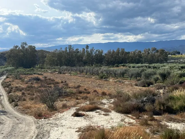 Terreno rural en venta - Andalucia - foto 2