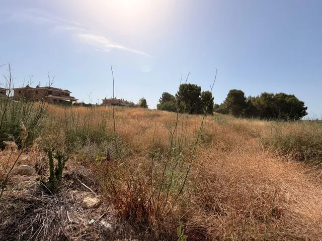PARCELA EN VENTA EN LAS PEDRERES SANTA OLIVA — 6