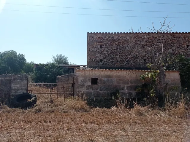 FINCA RÚSTICA CON LICENCIA EN TRÁMITE - foto 4