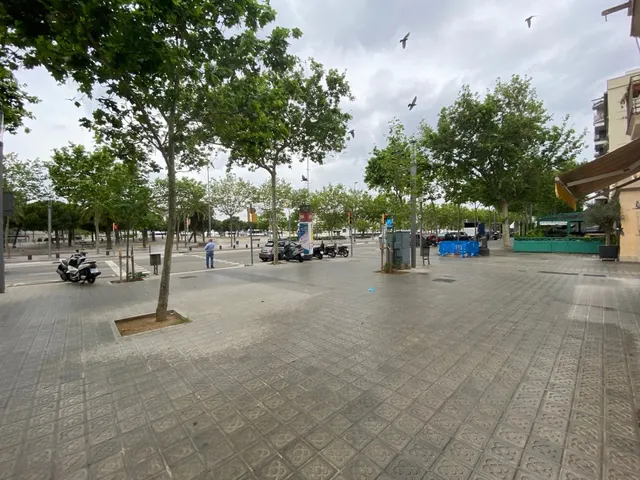 Local diafano en acera "Prime" Passeig Joan de Borbó — 14