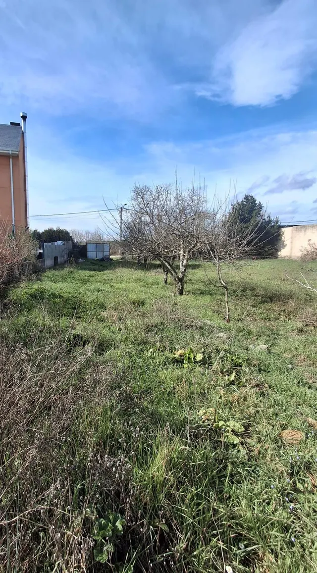 VENTA: Terreno en Cubillos del Sil — 4