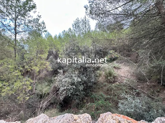 Parcela a la venta en Alfafara — 4