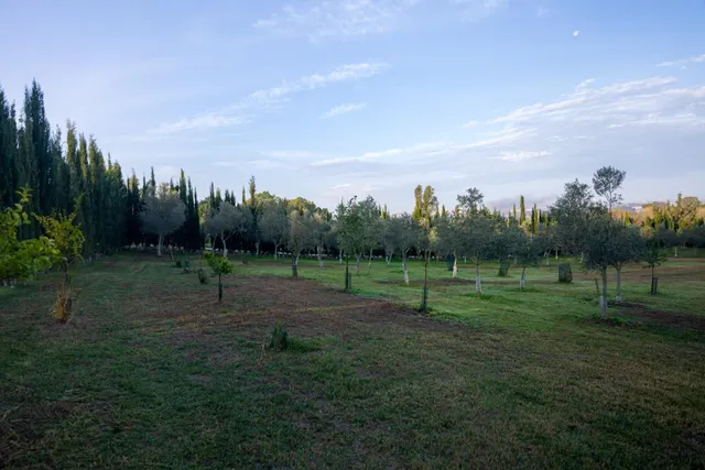 PARCELA CON CASA JUNTO A MONTECASTILLO — 13