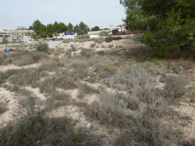 ++Terreno urbanizable en Molina de Segura zona El Pino++, 1250 m — 2