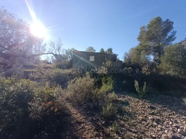 Finca rústica en venta en L’Ametlla de Mar – Gran parcela co - foto 3