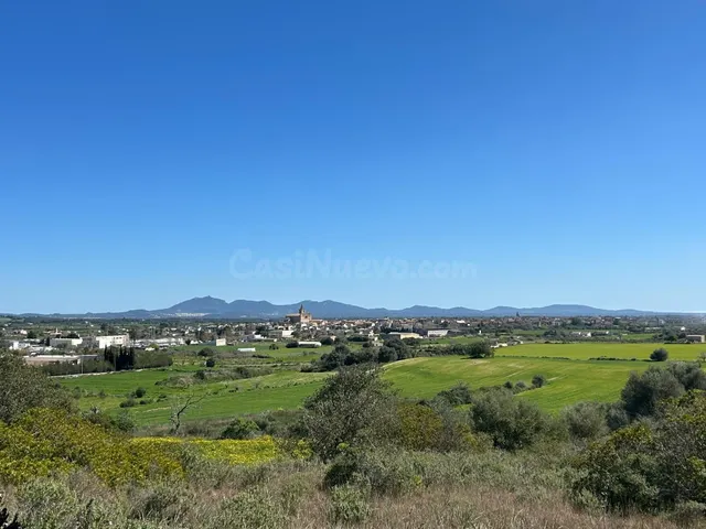 Finca con licencia y proyecto básico en Porreres - foto 2