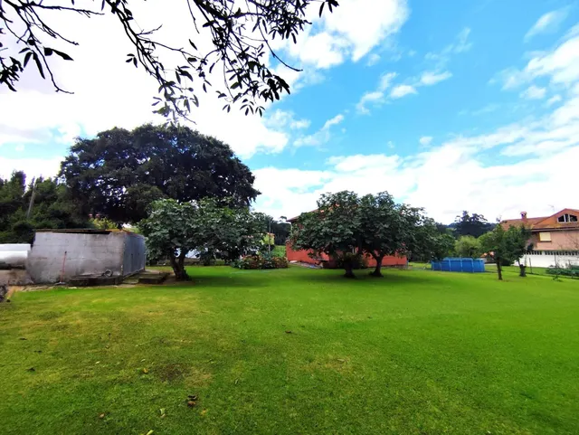 Casa independiente con mas de 2.000m2 de terreno — 6