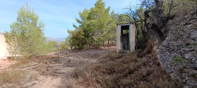 Encantadora Casa de Campo en Hondon de las Nieves - Oportunidad Única — 24
