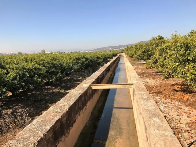 Magnifica finca de naranjos en plena producción - foto 3