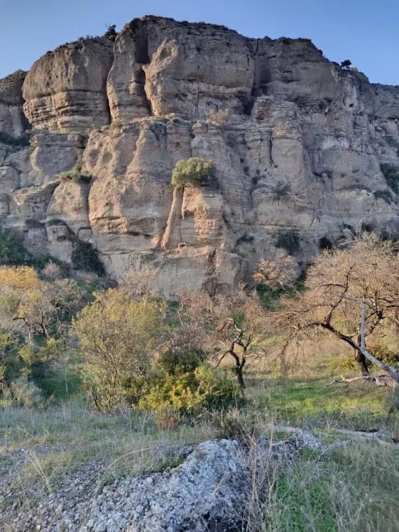 Parcela en venta - Alora pueblo — 15