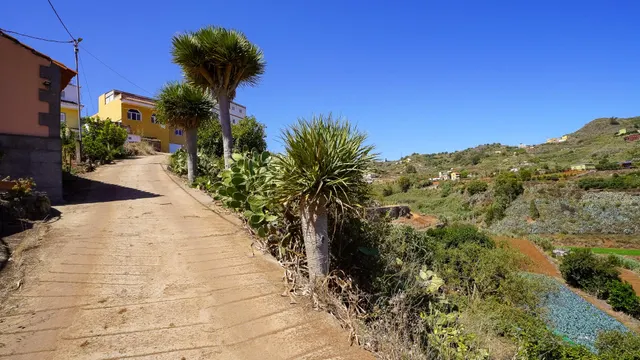 CASA REFORMADA CON AMPLIO TERRENO EN LA SOLANA, SAN MATEO — 34