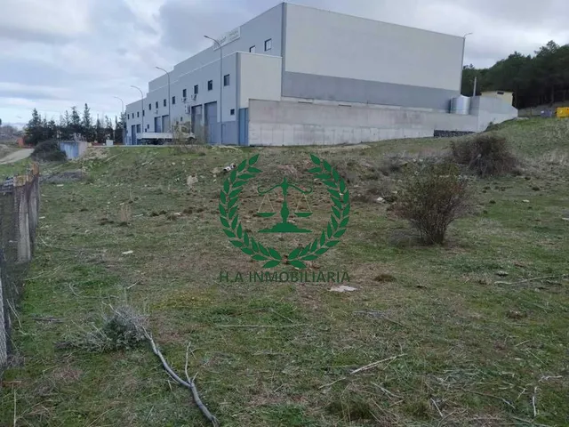 SUELO URBANO EL MOLAR   SUPERFICIE: 1.296,00 m2        PVP. 185.000 € — 5