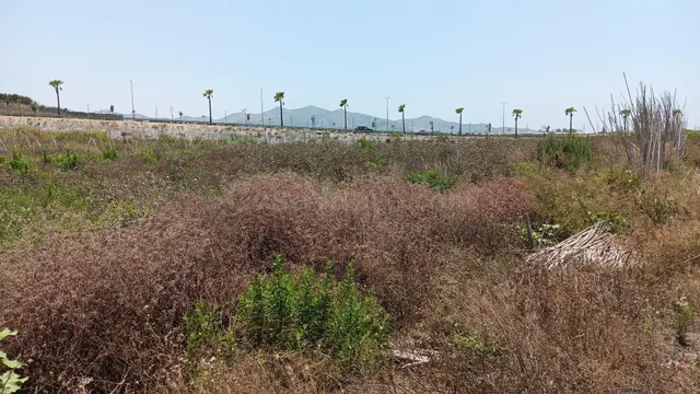 En una zona Espectacular!! - foto 3