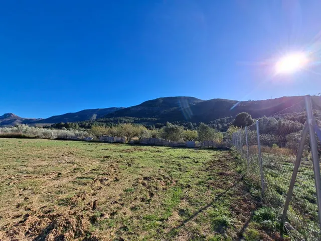 Parcela rústica de 10.400 m2 ubicada en Benigembla - foto 3