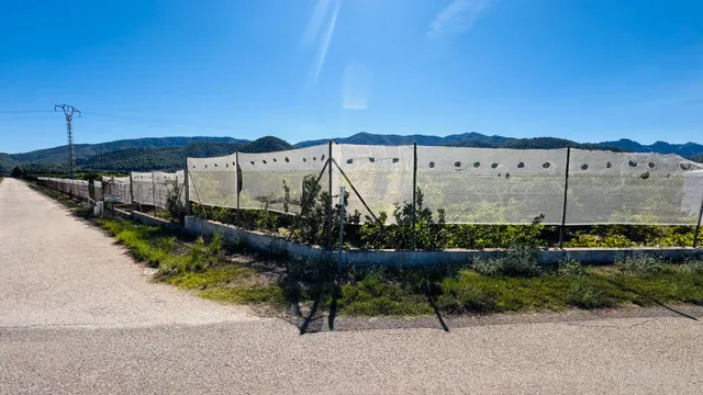 ¡OPORTUNIDAD ÚNICA EN LA VALLDIGNA! Oasis rústico con vistas espectaculares — 8
