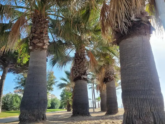 Pisos de obra nueva en venta en el centro de Pineda de Mar — 9
