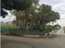 GRAN TERRENO RURAL EN EL EMBALSE DE LA PEDRERA - foto 4