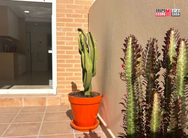 PISO DE LUJO EN CAROLINAS ALTAS, ALICANTE — 24