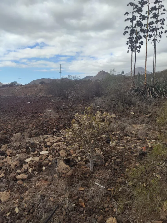 Terreno urbanizable en Parque La Reina - Cho — 14
