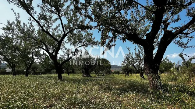 Terreno rural en venta - Els Plans — 3