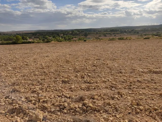 PARCELA DE 15.000 M2 EN PARAJE DE LOS ESPETONES. EXCELENTE ubicación Y ACCESO — 5