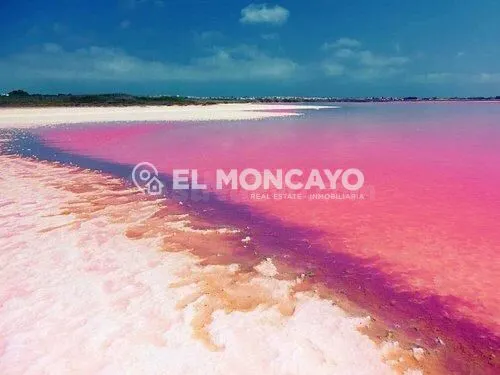 Fantástico chalet independiente con jardín privado en la exclusiva zona de Los Balcones, Torrevieja — 22
