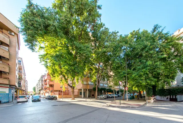 Preciosa vivienda a un paso del centro de la ciudad — 40