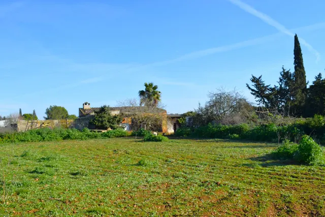 Finca con vistas a la Serra de Tramuntana en Muro - foto 2