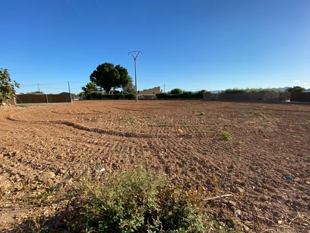 CASA DE CAMPO CON TERRENO en El Albujón — 10