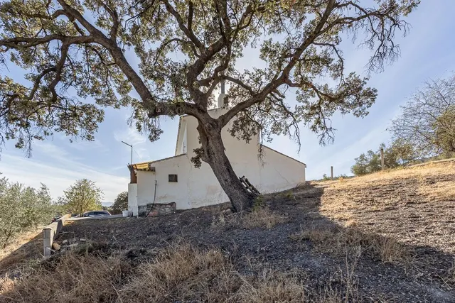 Casa rural en término de Montefrío. — 3