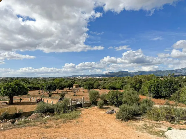 FINCA RÚSTICA 'PUIG SANTA MAGDALENA' — 32