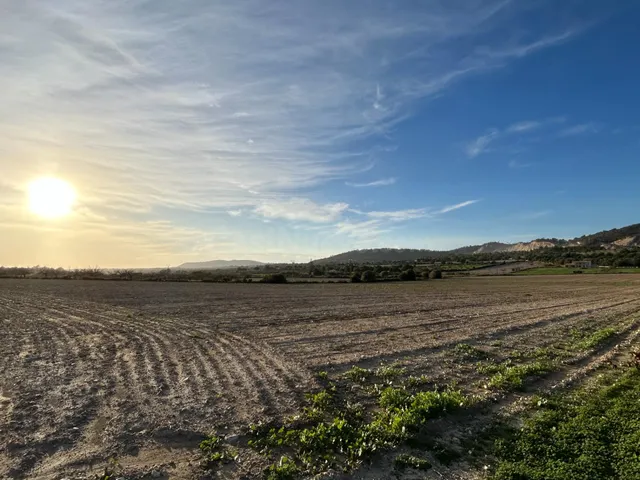 Finca rústica en Porreres en venta