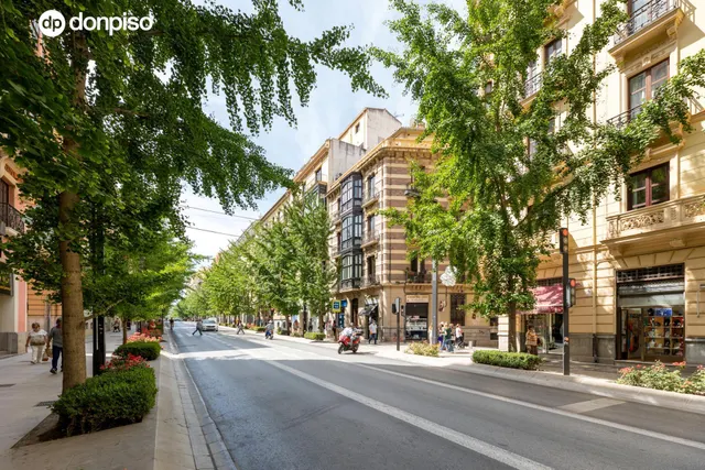 EXCLUSIVA ULTIMA PLANTA CON VISTAS EN GRAN VIA — 36