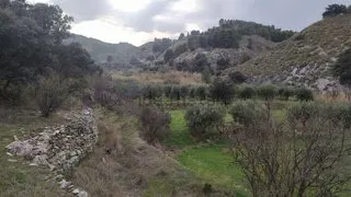 Casa de campo con terreno en Purchena ( Almería ) — 28