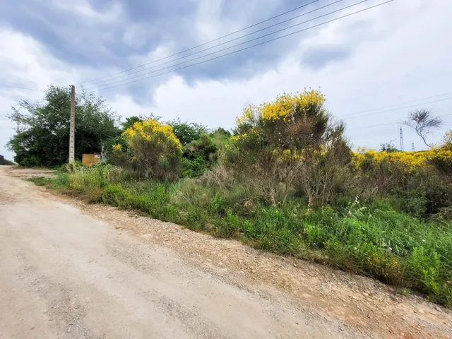 Terreno rústico de 10.735 m2 en Castellbisbal zona Can Nicolau de Dalt. — 6